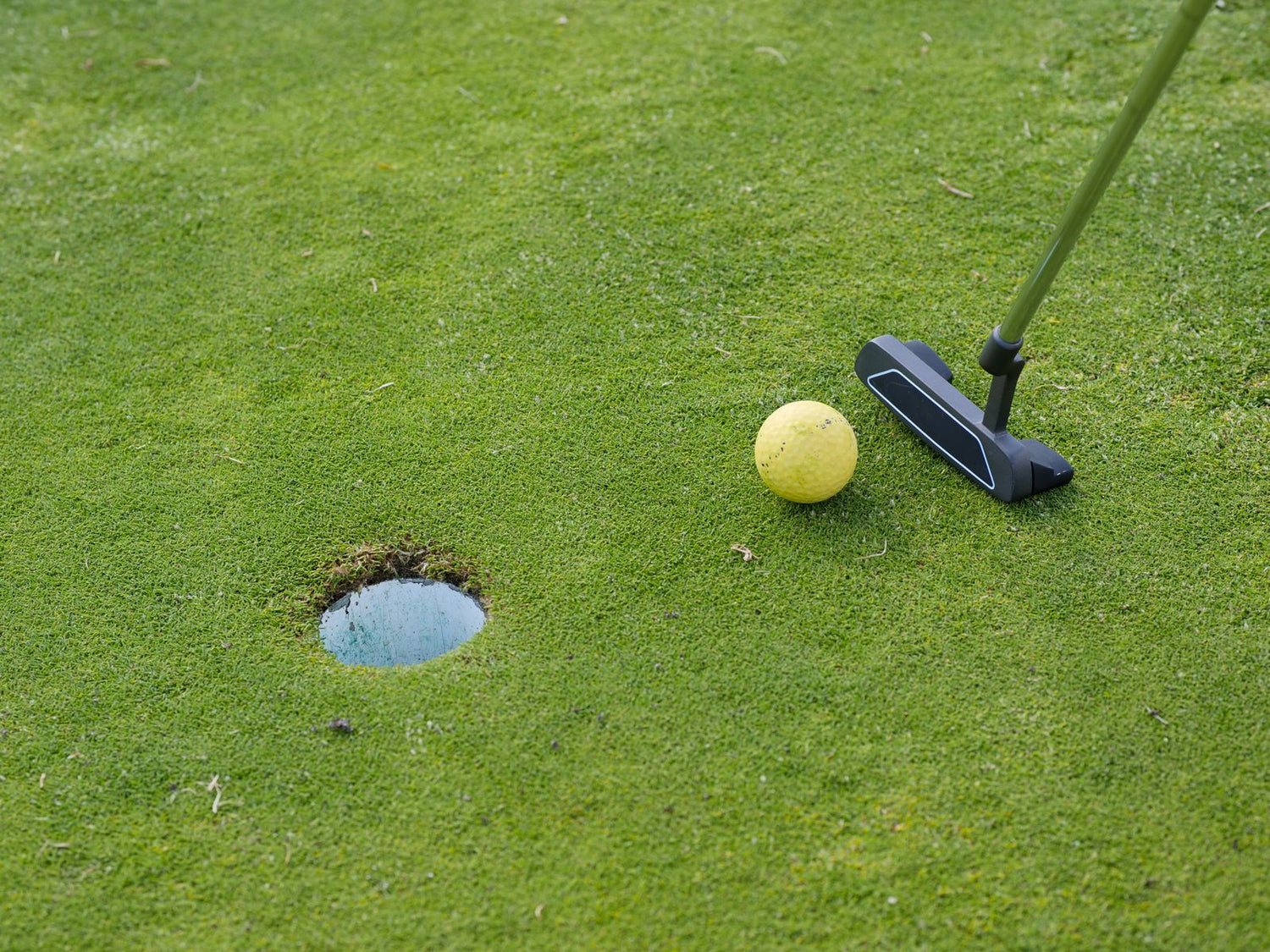 How to Build a Backyard Putting Green in Las Vegas