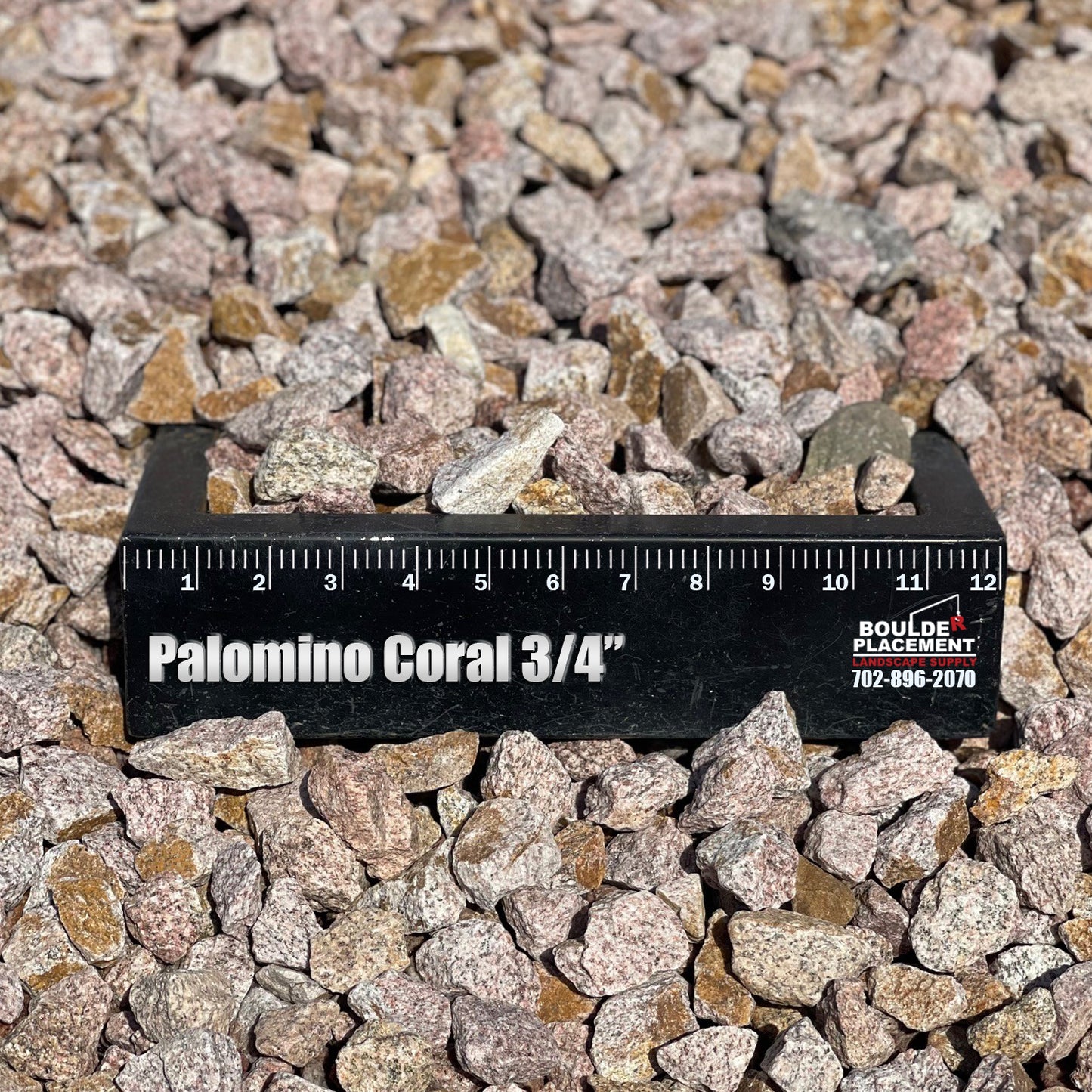 Palomino Coral