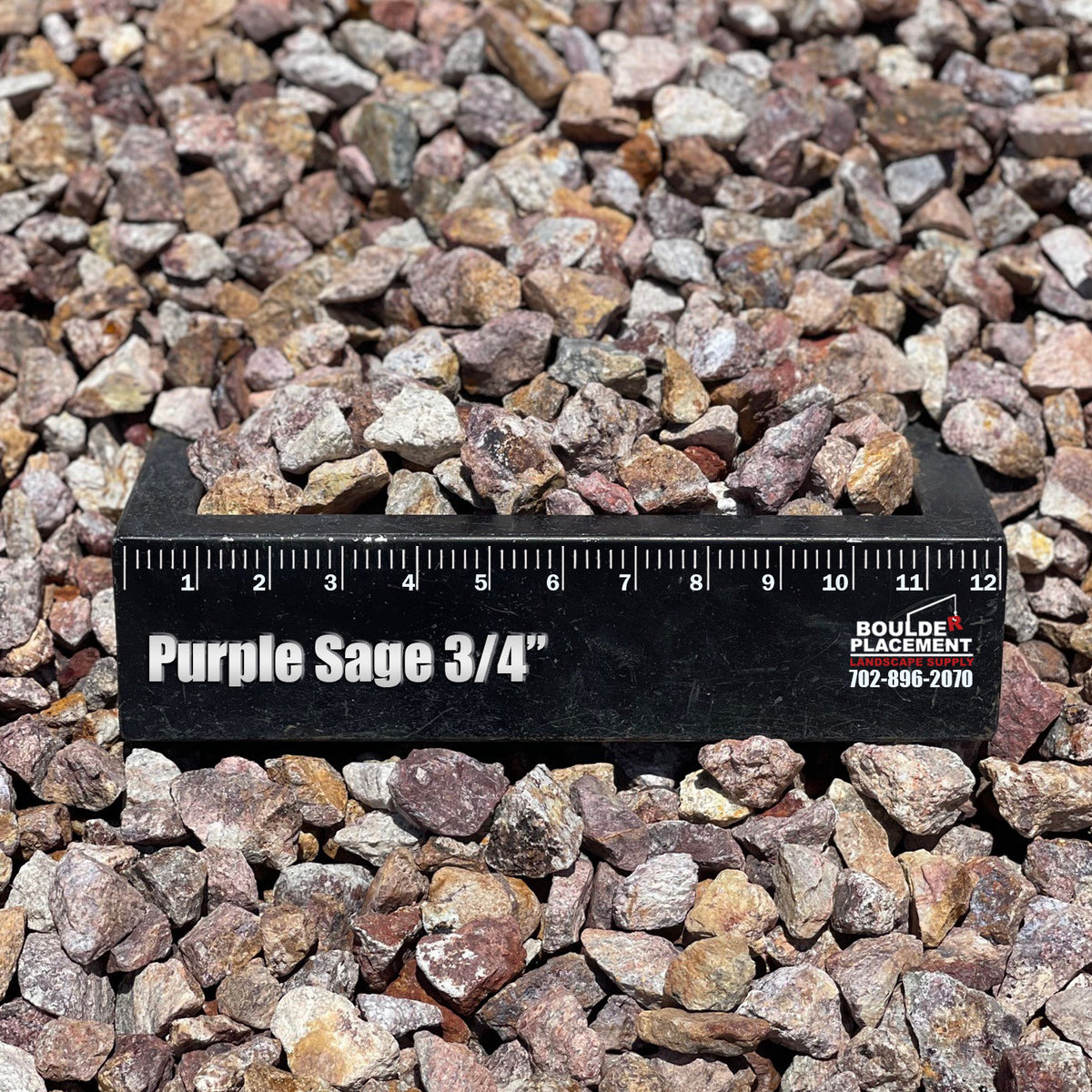 Purple Sage