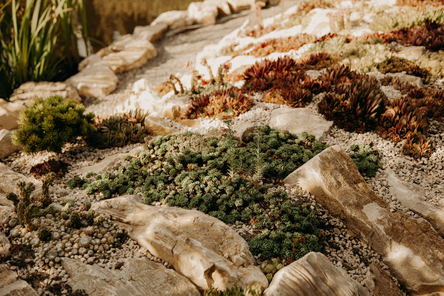 Landscape Rock Sizes Explained: Choosing the Right Size for Your Las Vegas Yard