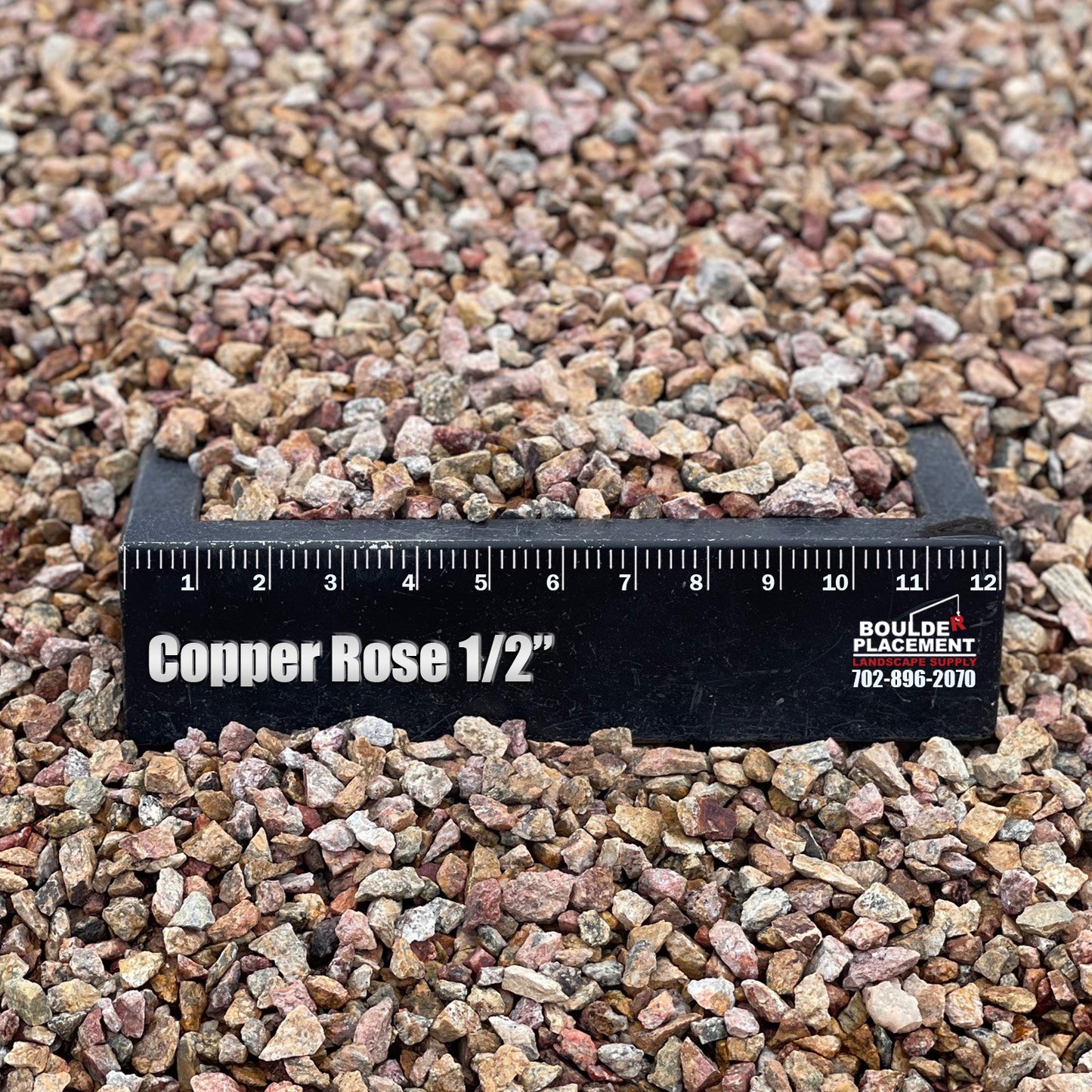 Copper Rose