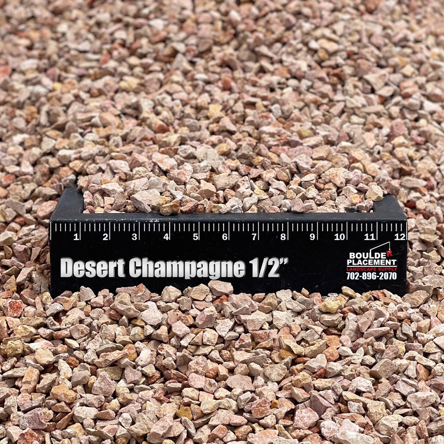 Desert Champagne
