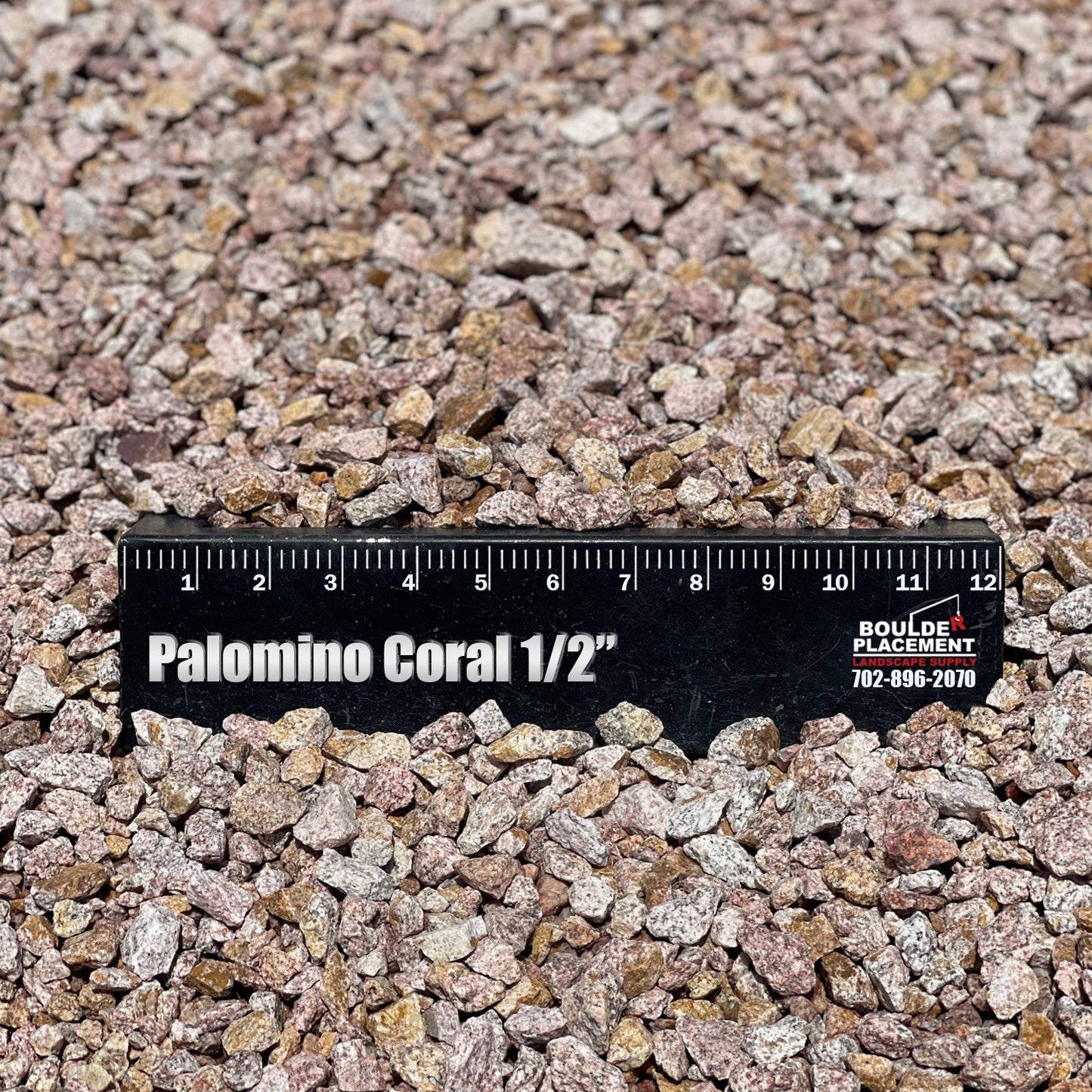Palomino Coral