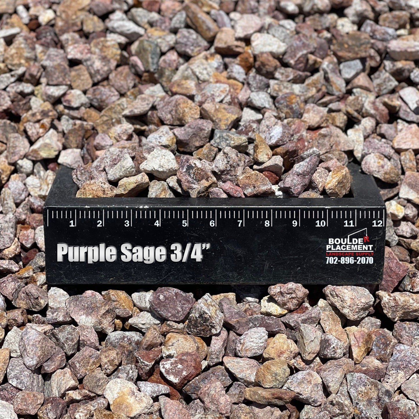 Purple Sage