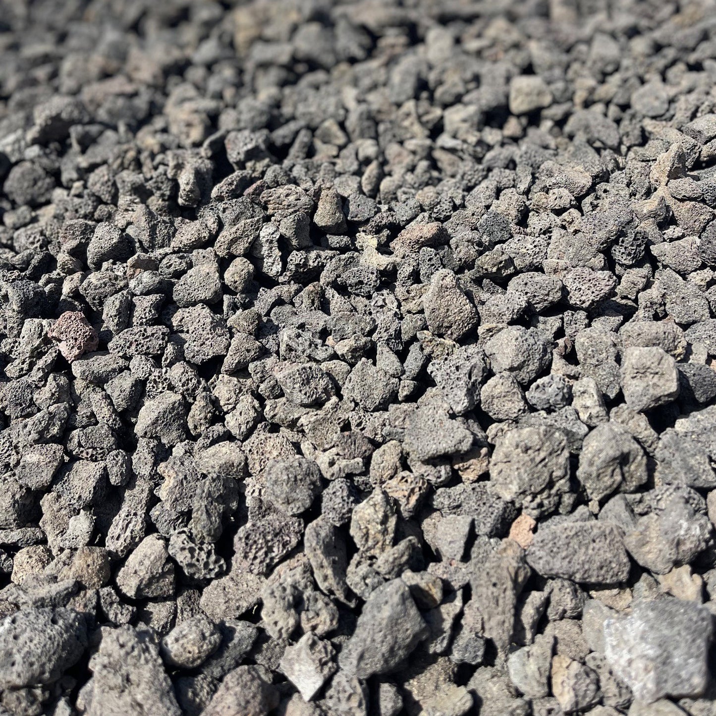 Black Lava Rock