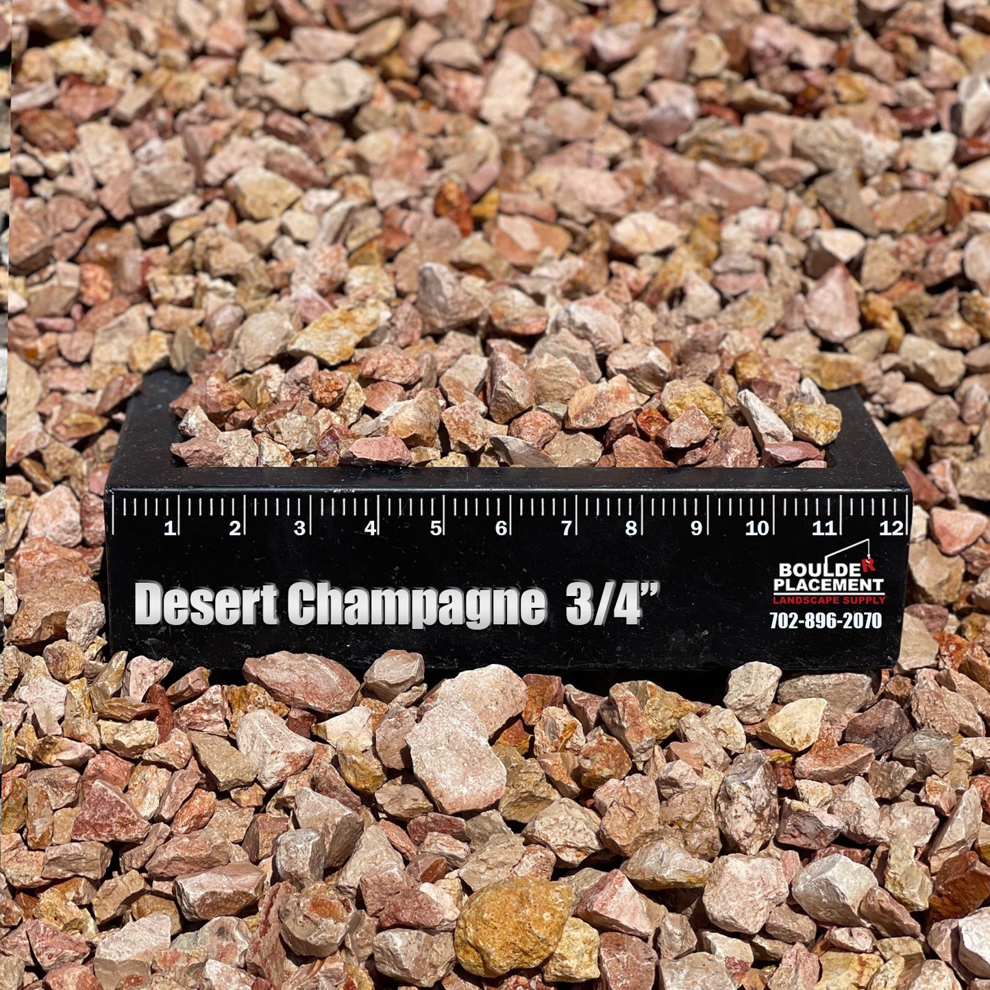 Desert Champagne