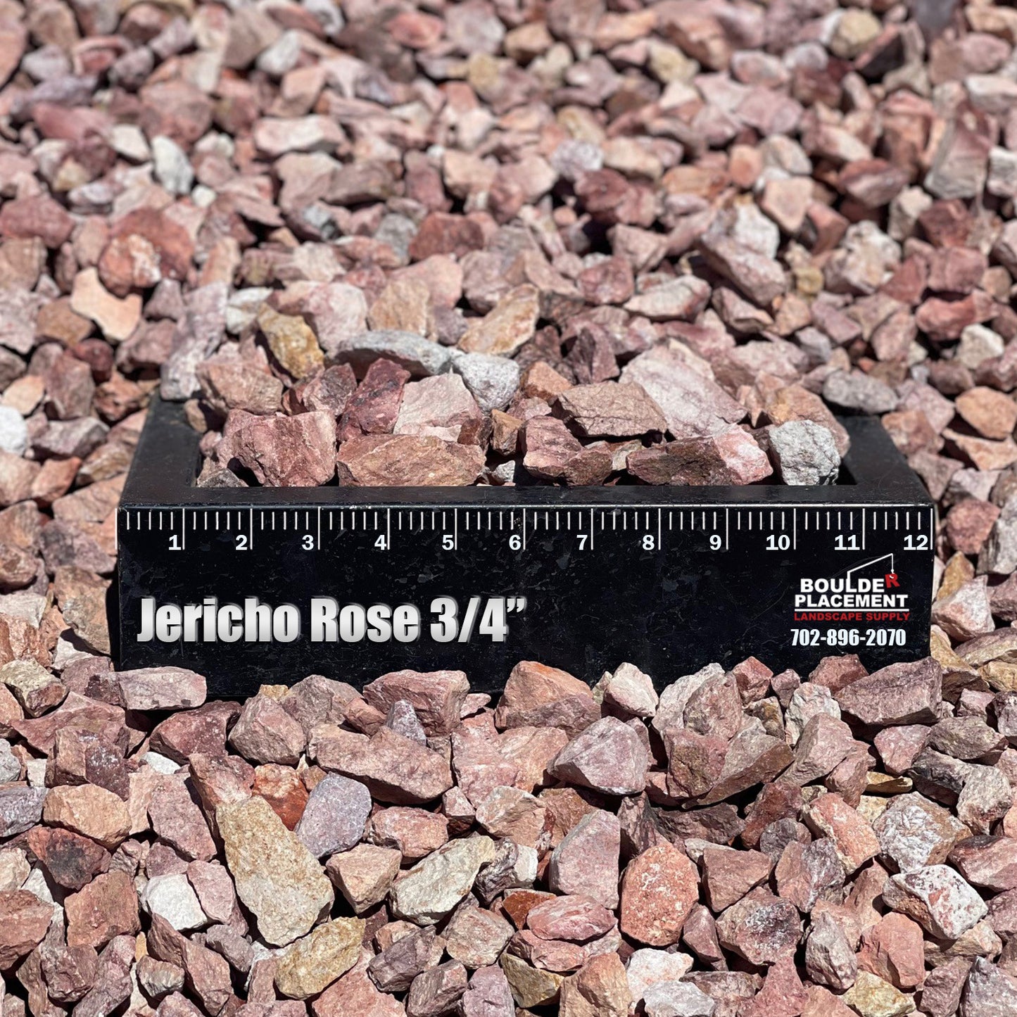 Jericho Rose